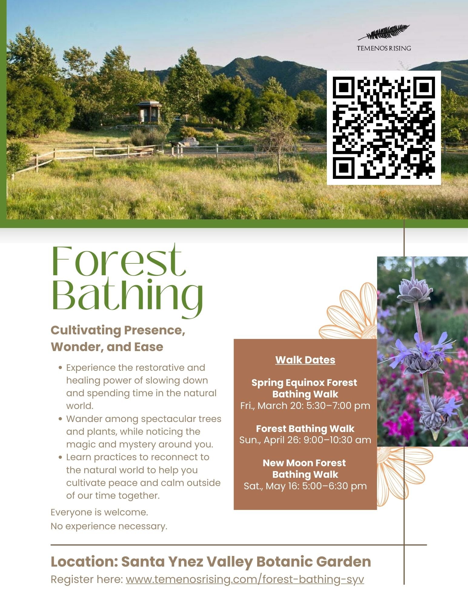 Spring Equinox Forest Bathing Walk