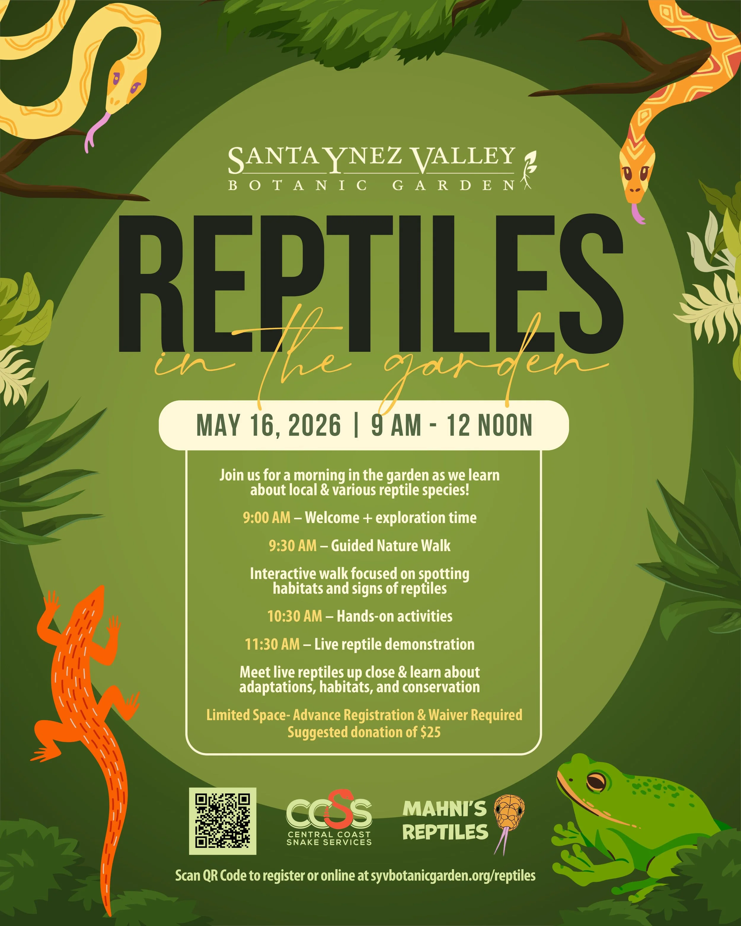 Reptiles in the Garden!