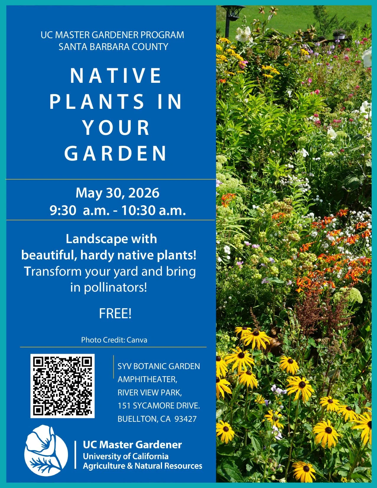 Native Plants in Your Garden