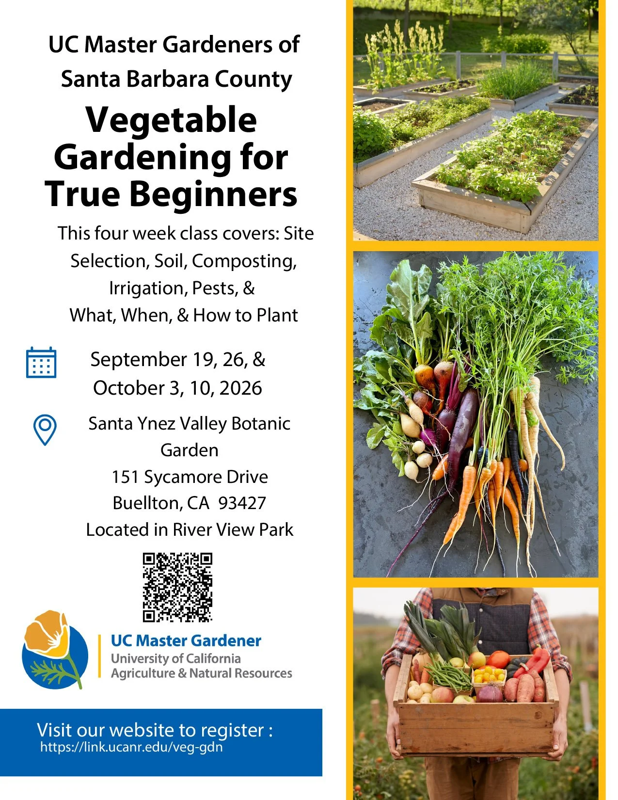 Vegetable Gardening for True Beginners