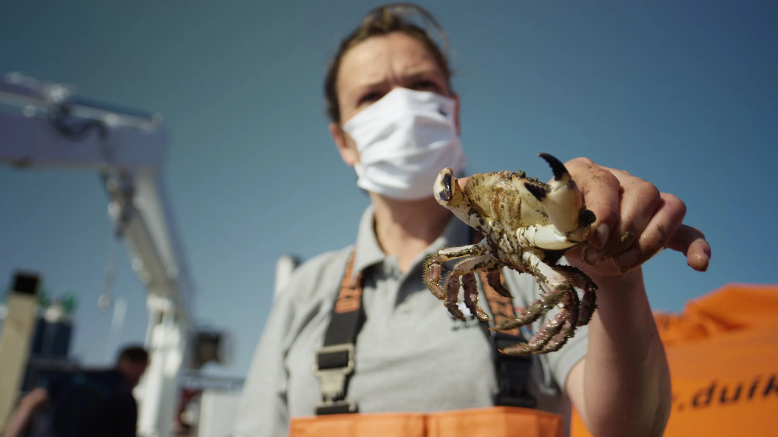 WWF OESTERBANK TIMELINE.00_23_29_00.Still010.jpeg