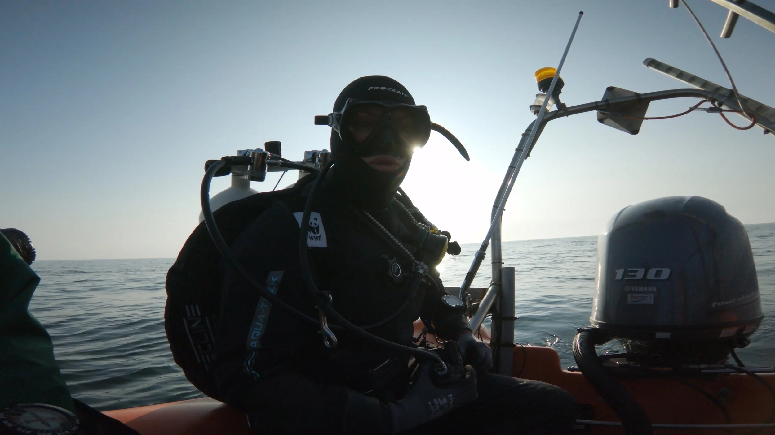 WWF OESTERBANK TIMELINE.00_45_59_08.Still029.jpeg