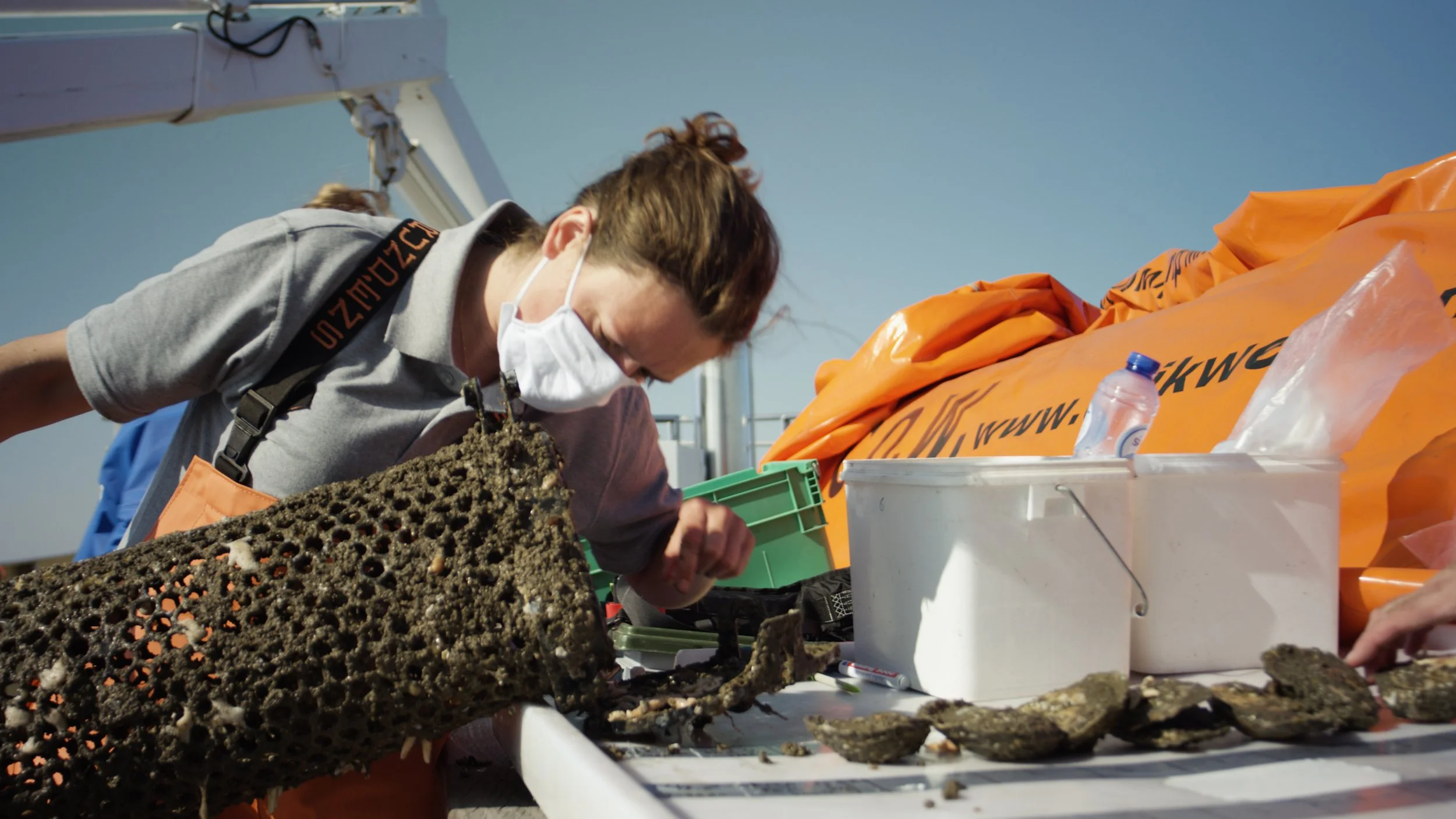 WWF OESTERBANK TIMELINE.00_22_49_05.Still009.jpeg