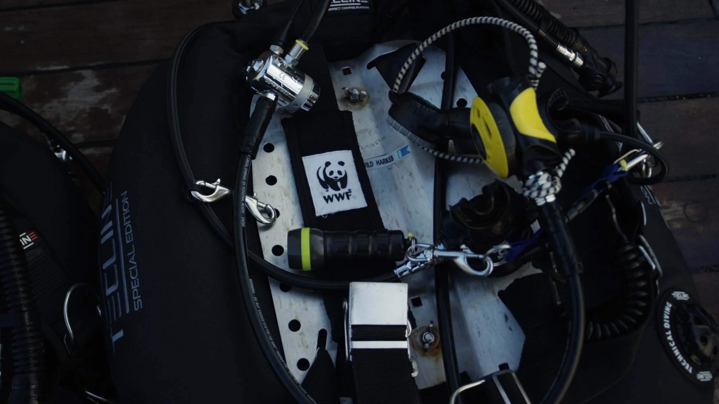 WWF OESTERBANK TIMELINE.00_40_04_11.Still013.jpeg