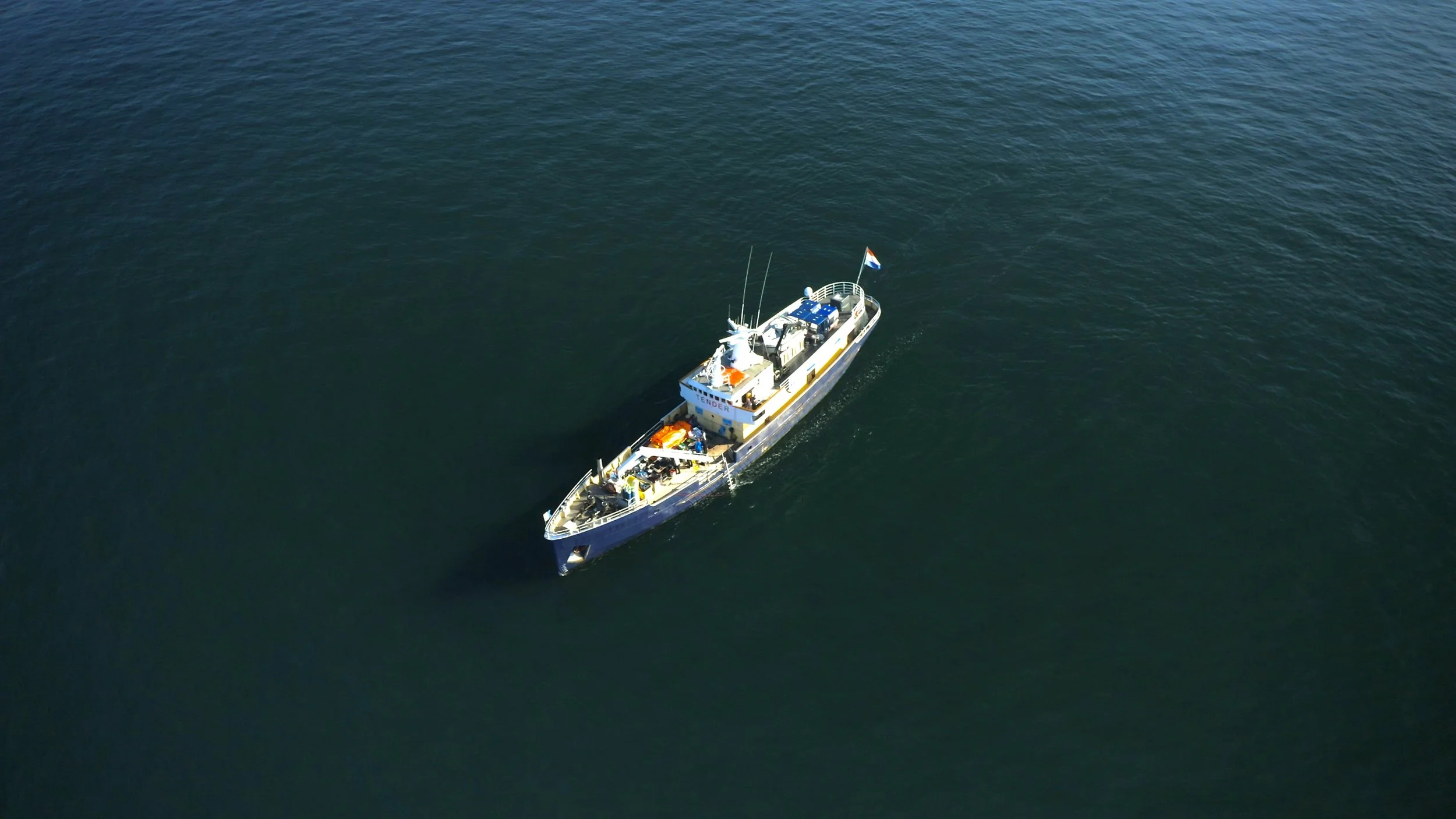 WWF OESTERBANK TIMELINE.00_42_32_07.Still020.jpeg