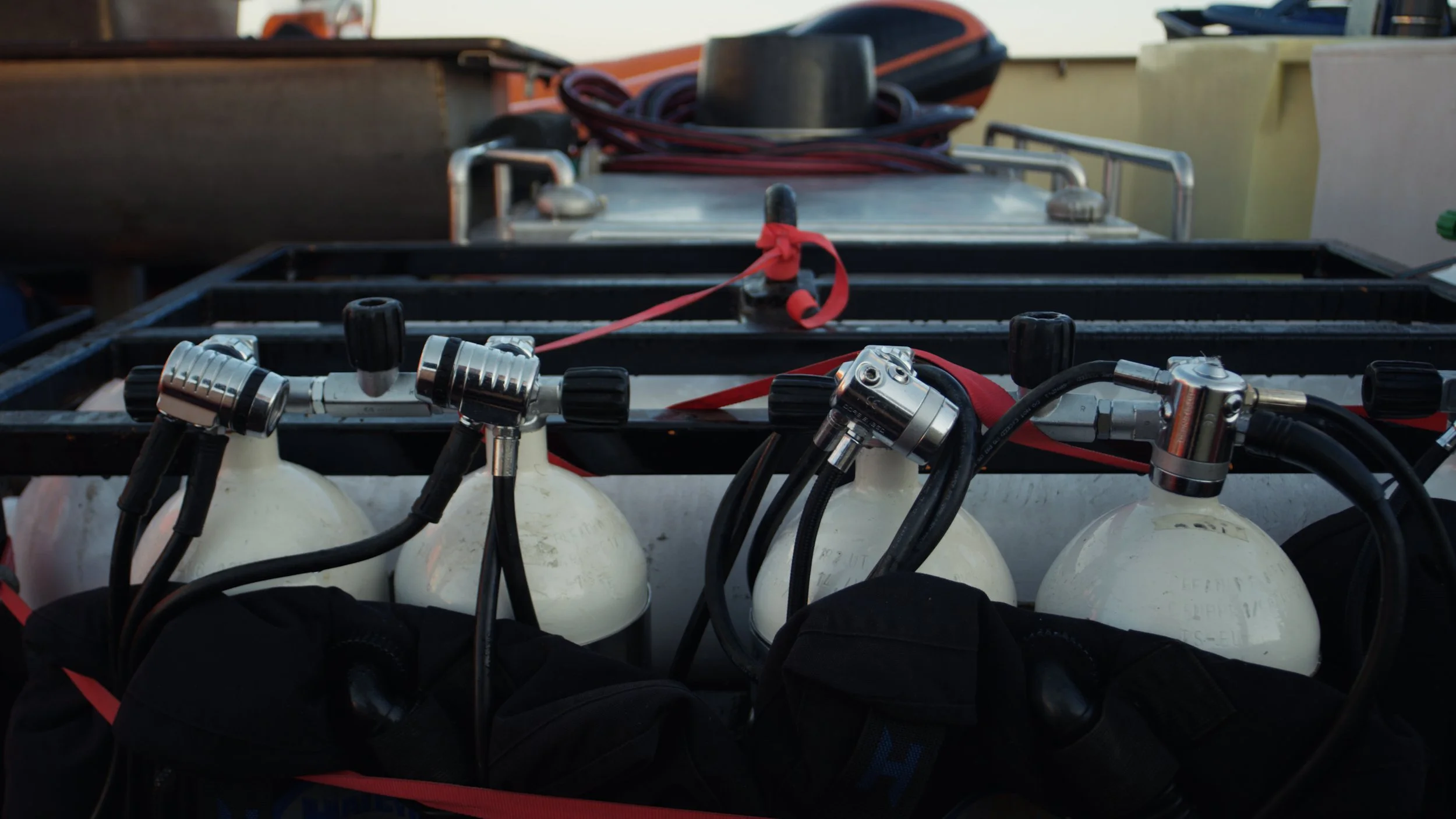 WWF OESTERBANK TIMELINE.00_01_00_18.Still004.jpeg