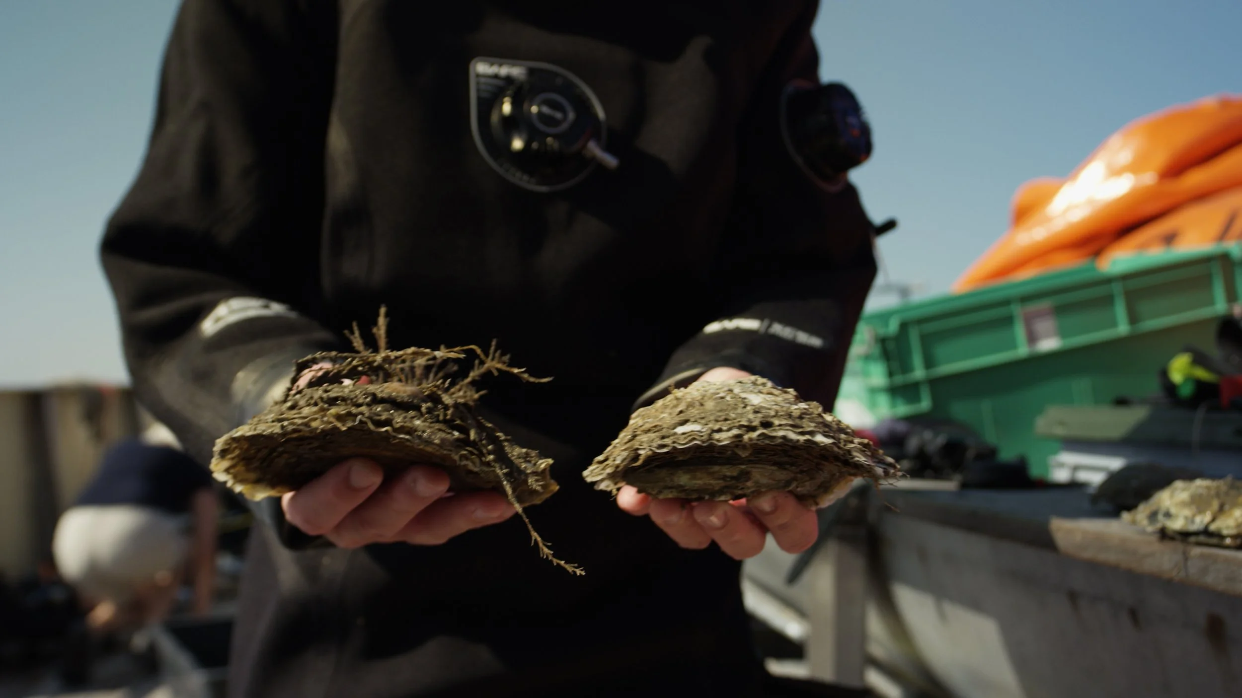 WWF OESTERBANK TIMELINE.00_27_15_02.Still011.jpeg