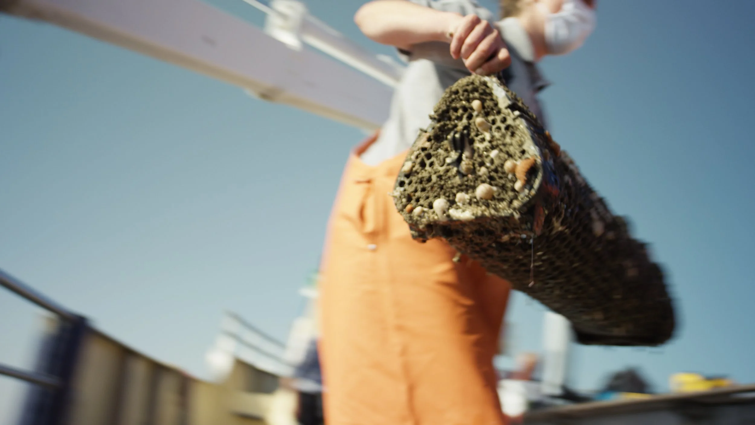 WWF OESTERBANK TIMELINE.00_22_47_02.Still008.jpeg