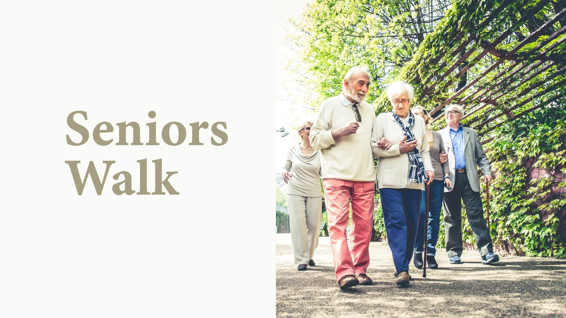 Seniors Walk: February