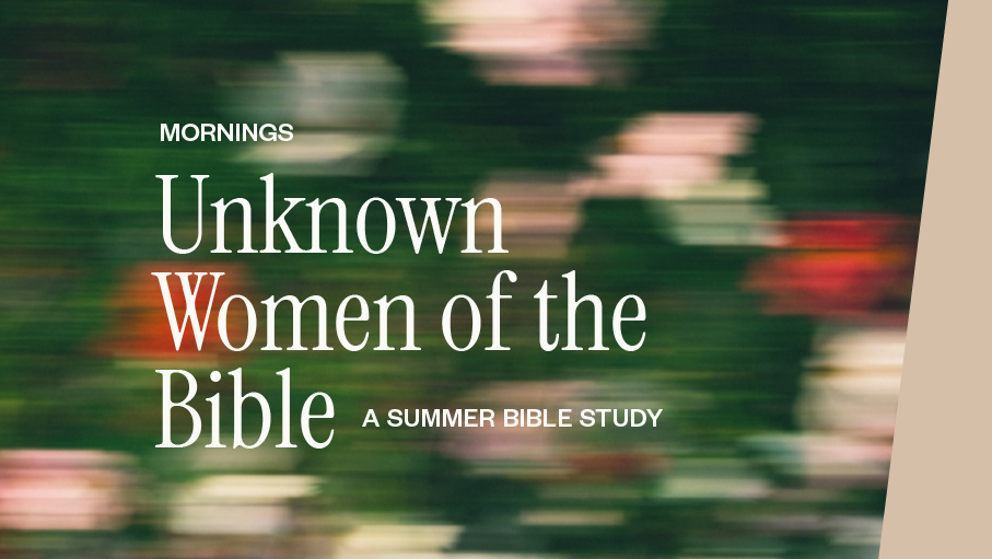 Summer Bible Study
