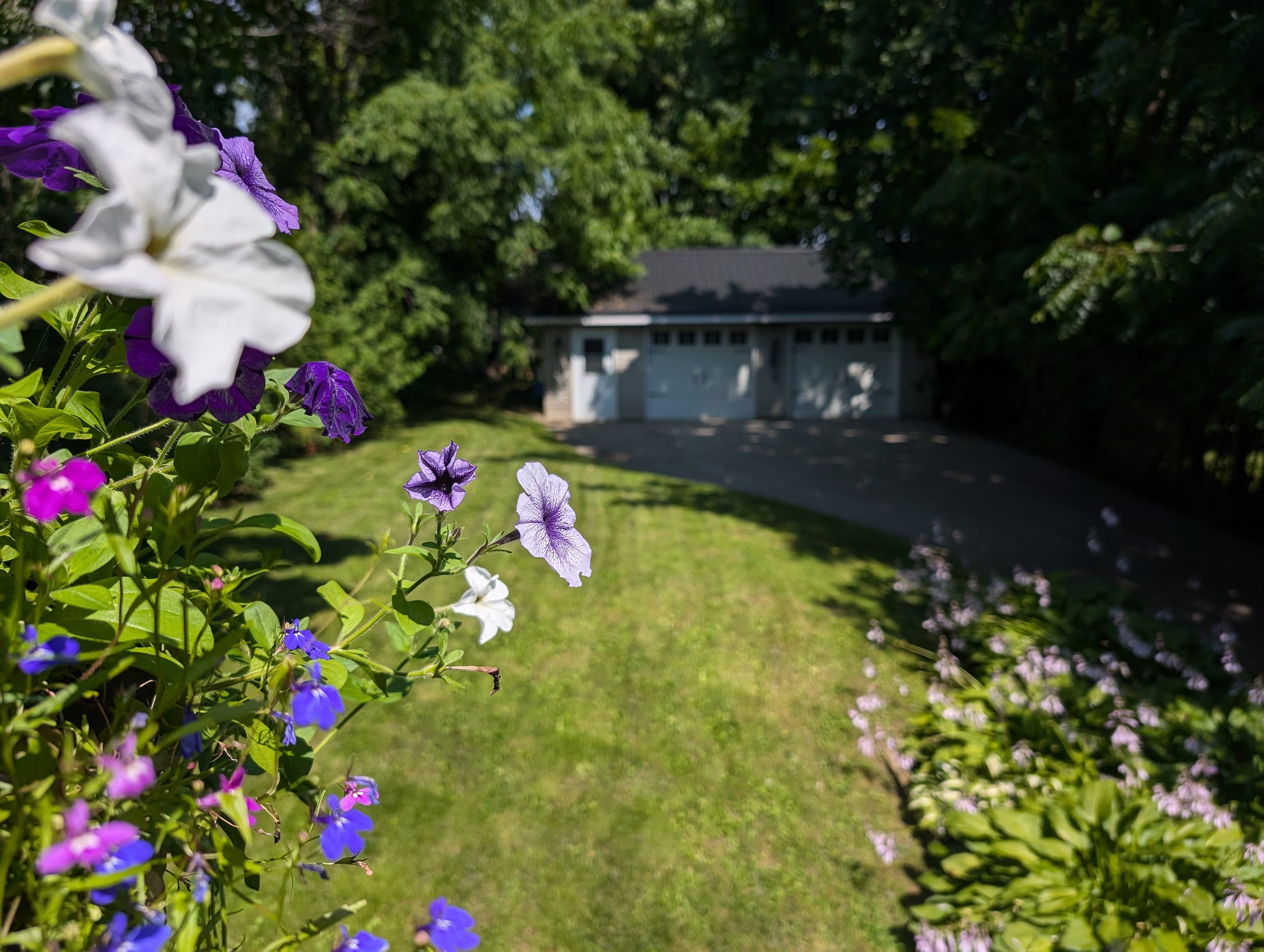 260_Colborne_BackyardDetail.jpg