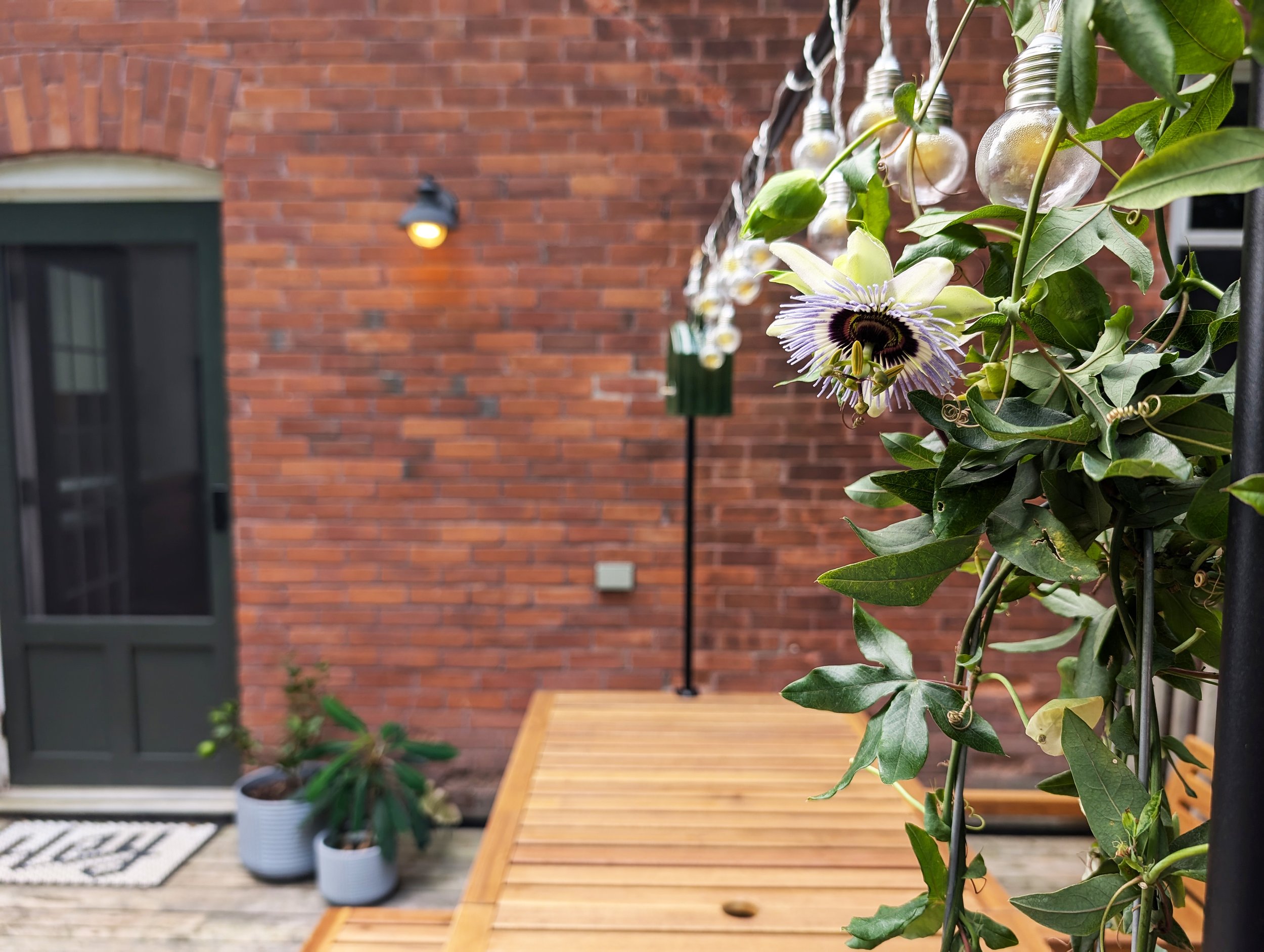 260_Colborne_PatioDetail.jpg