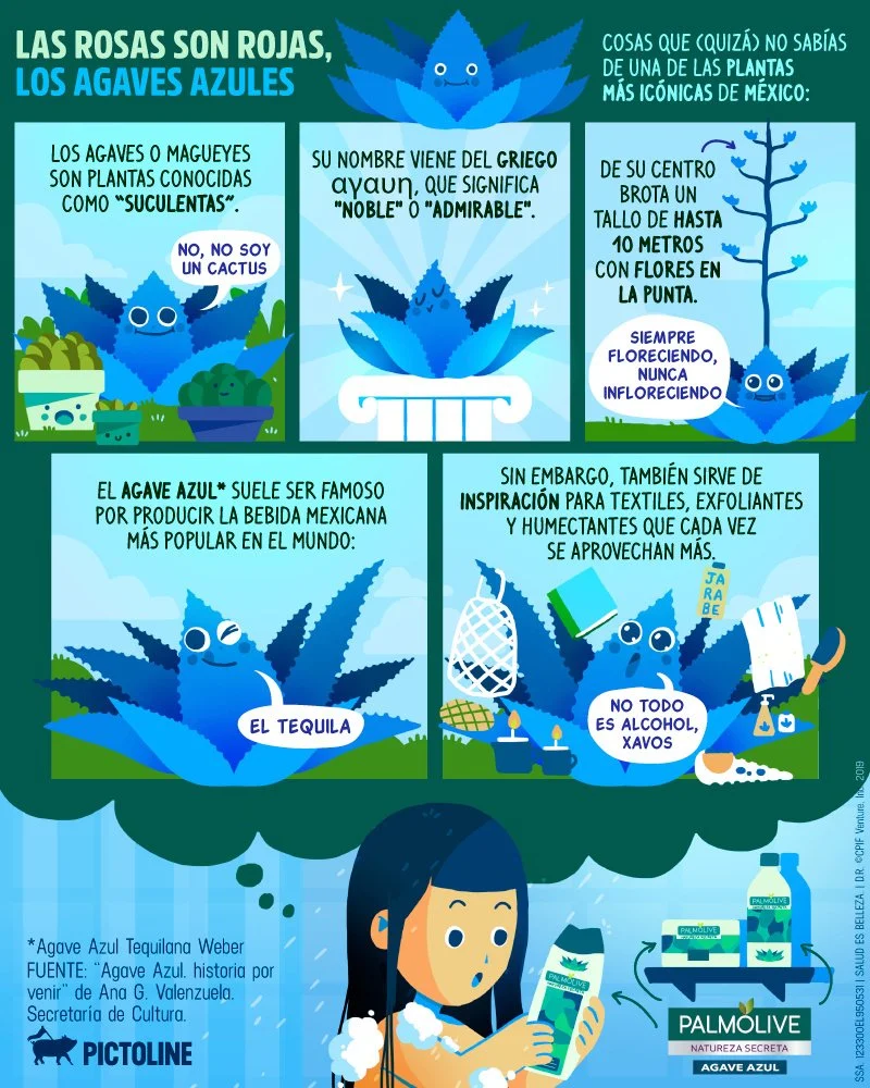 pictoline__2019-08-08T181011.000Z.jpg