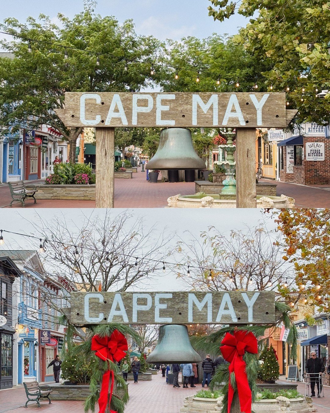 Seasons change, and winds come and go.

Cape May winters give way to summer days, and everything finds its place again!

#capemay #capemaysummer #capemayseasons #capemaydays