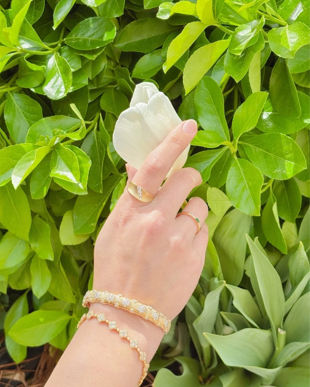 As the season blossoms, so should you!

Celebrate with a beautiful jewelry set from Henry &amp; Harry`s🌸✨

#finejewelry #jewelry #ringstacking #capemayjewelry