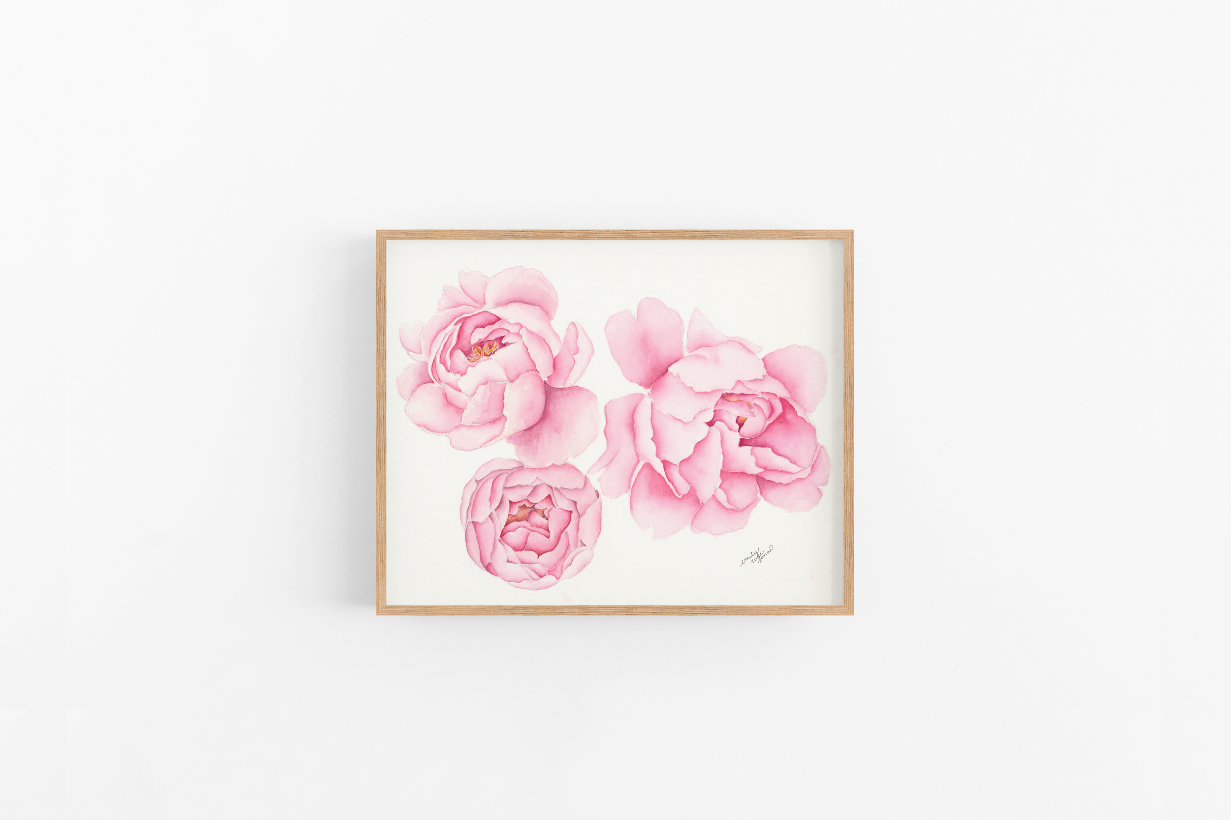 'Pink Peonies' Print