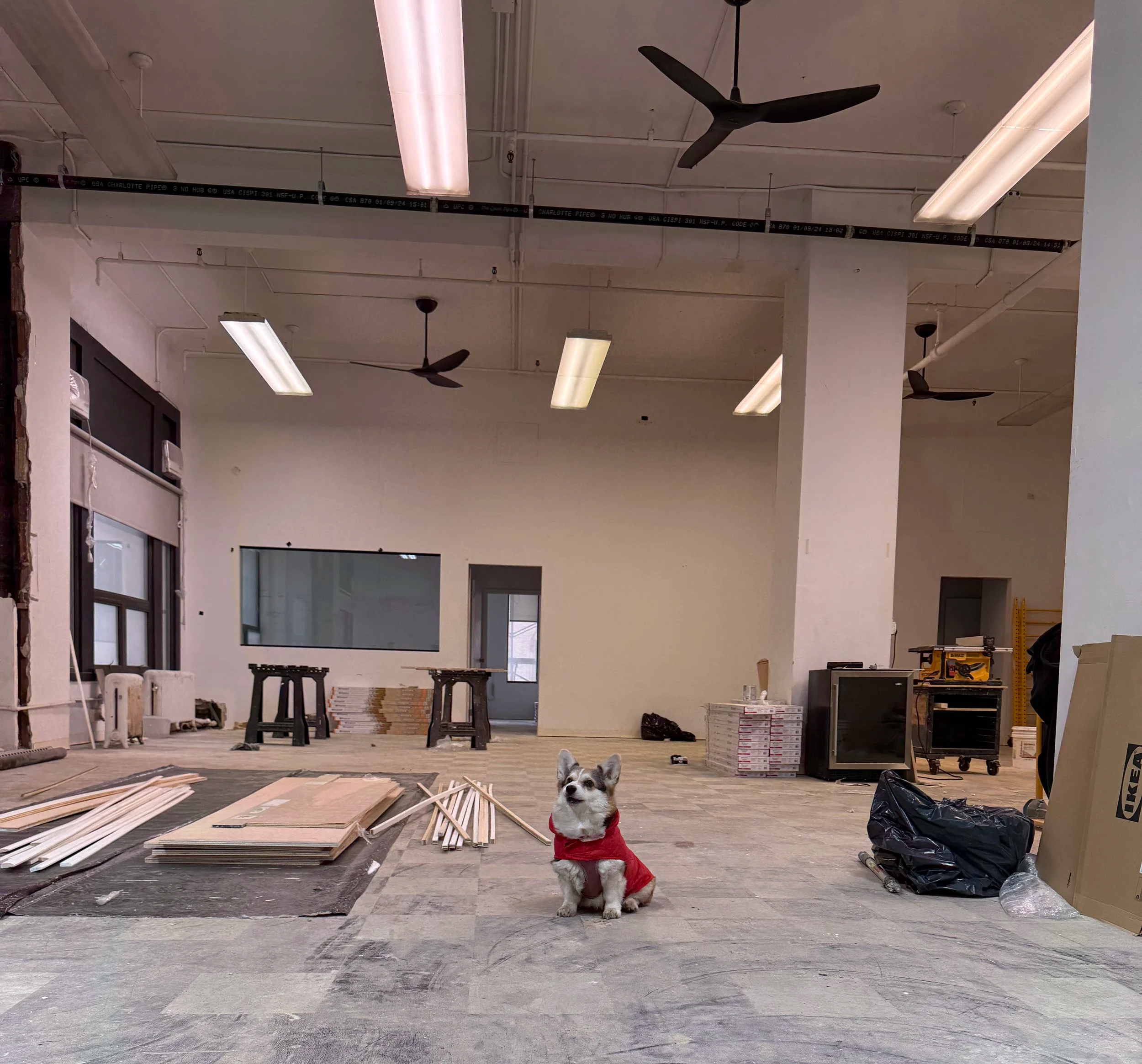 New Year… Another New Spot?