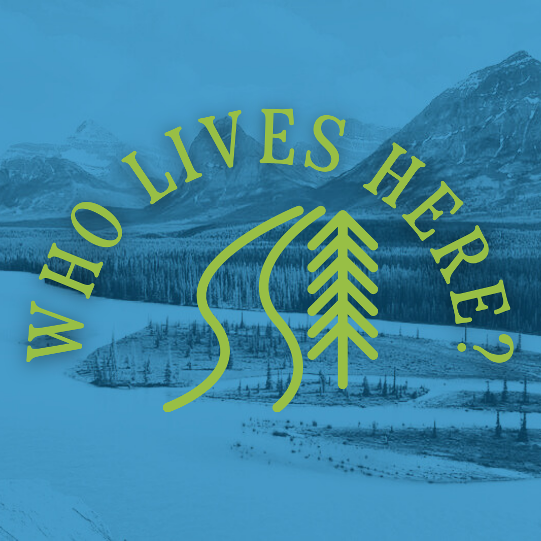 Who Lives Here? (Water Table)