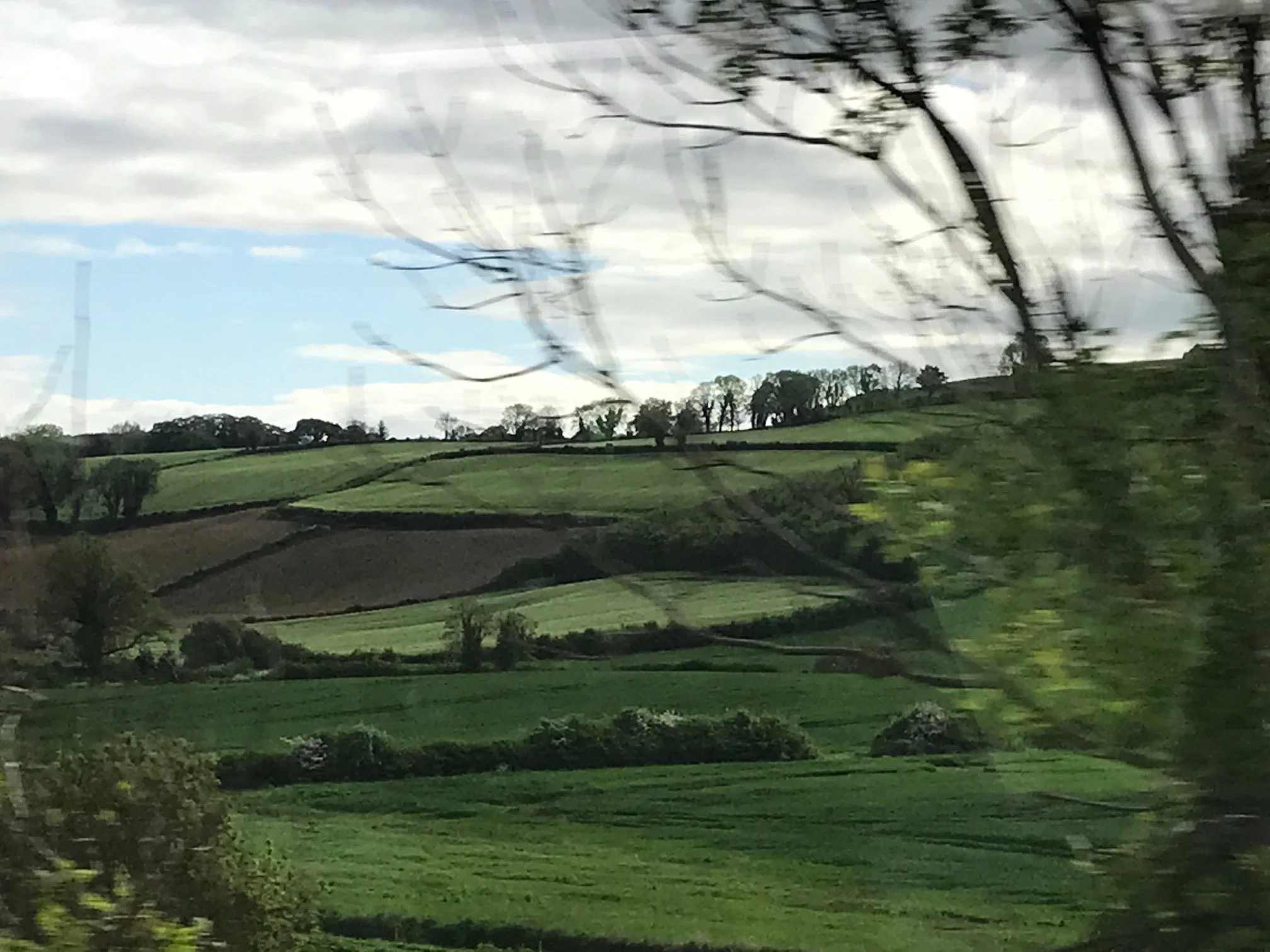 Forty Shades of Green