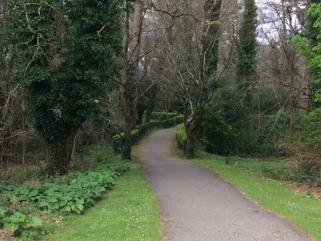 Continually refining your path