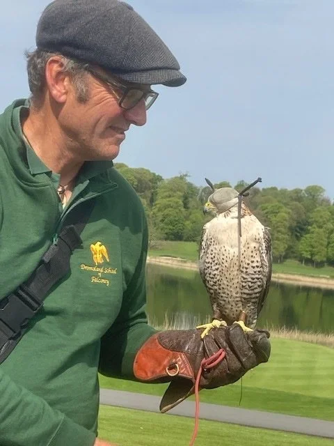 Man wearing a hat, green shirt, and falconers glove holding a falcon who is wearing a hood. They are standing in front of green grass, trees and a pond