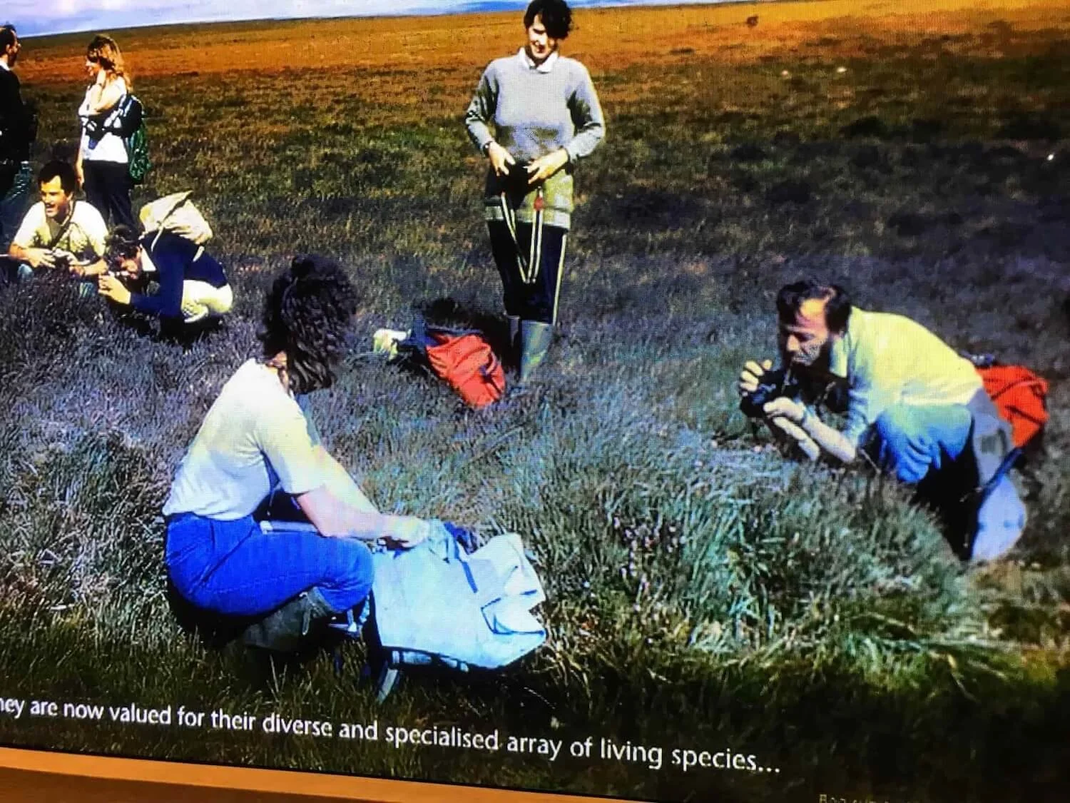 museum display panel with bog researcher in the field using cameras