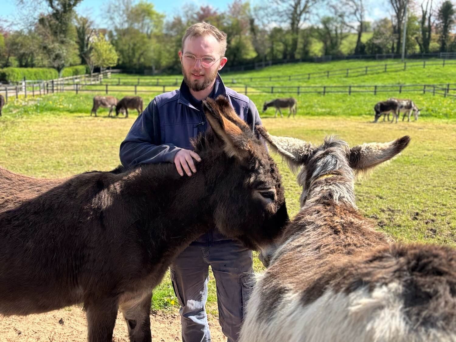 Sean Sheehan with the donkeys he cares for at the Donkey Sanctuary in Ireland