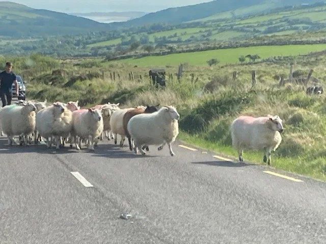 Dingle and the Rurals: September 10-Sept 19, 2026. (10 days 9 nights)