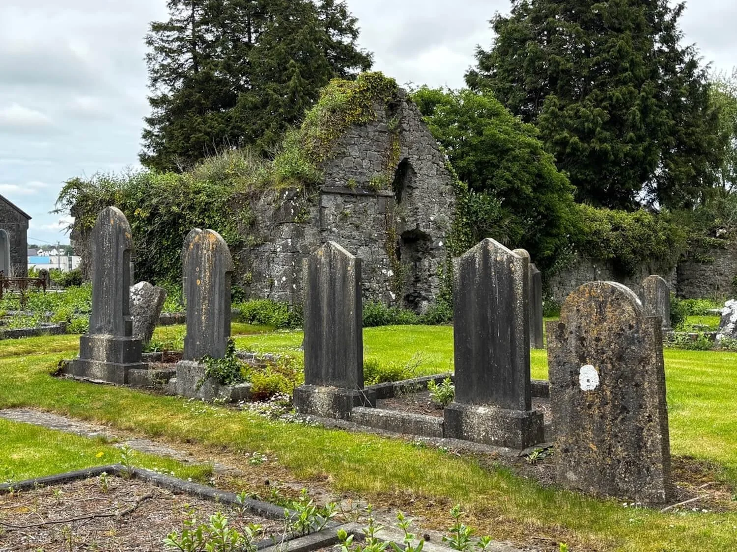 Irish cemetery headstones in front of a stone wall and shrubbery
