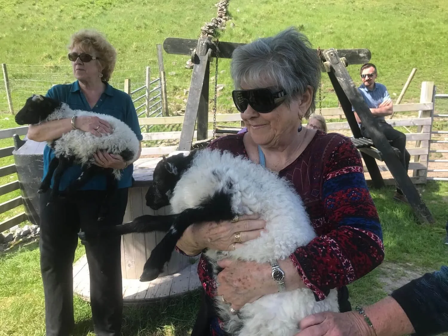 two woman wearing sunglasses holding baby sheep in their arms