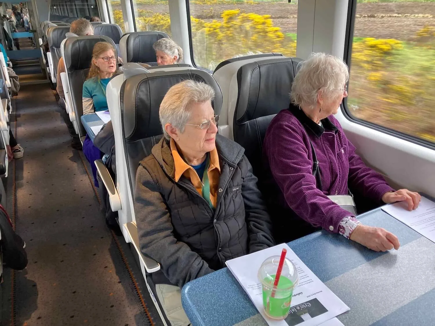 Erin's Isle travelers on a train in Ireland