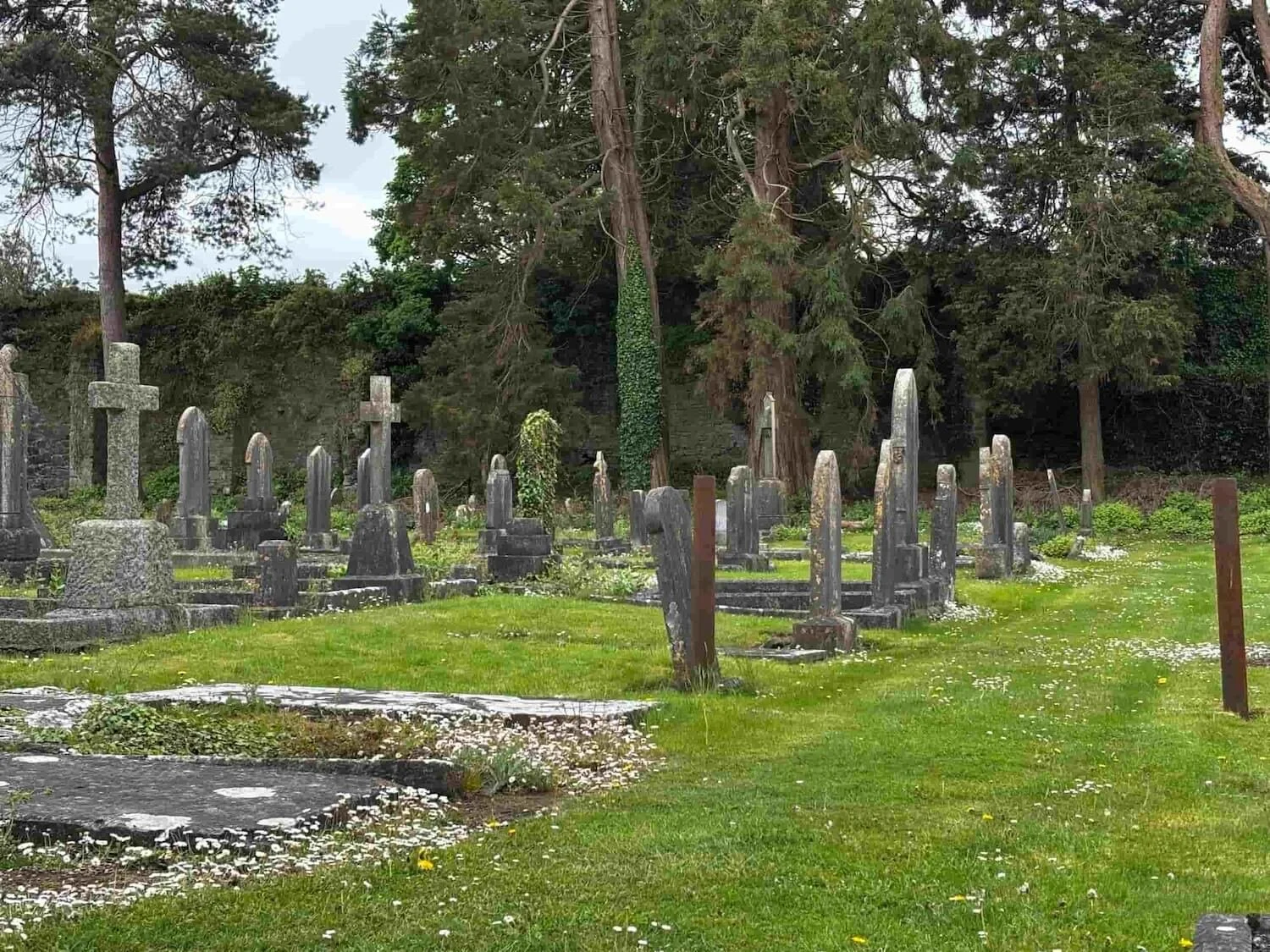 Irish cemetery with stone headstones on green grass with trees in the background