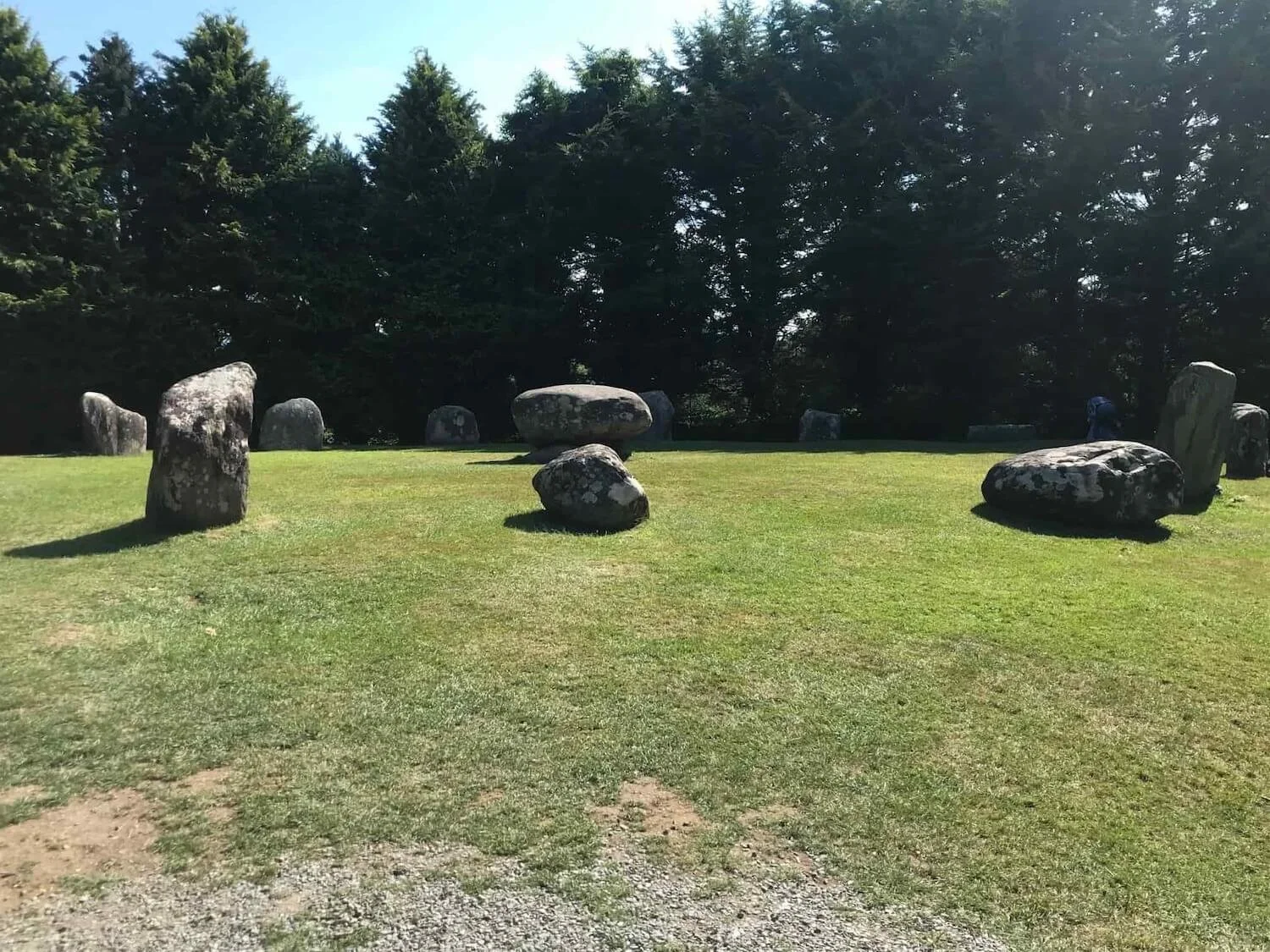 stone circle at Kenmare on grass in front of evergreen trees
