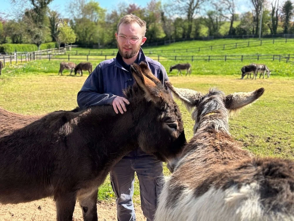 Sean_the_donkey_wrangler_ liscarroll copy.jpeg
