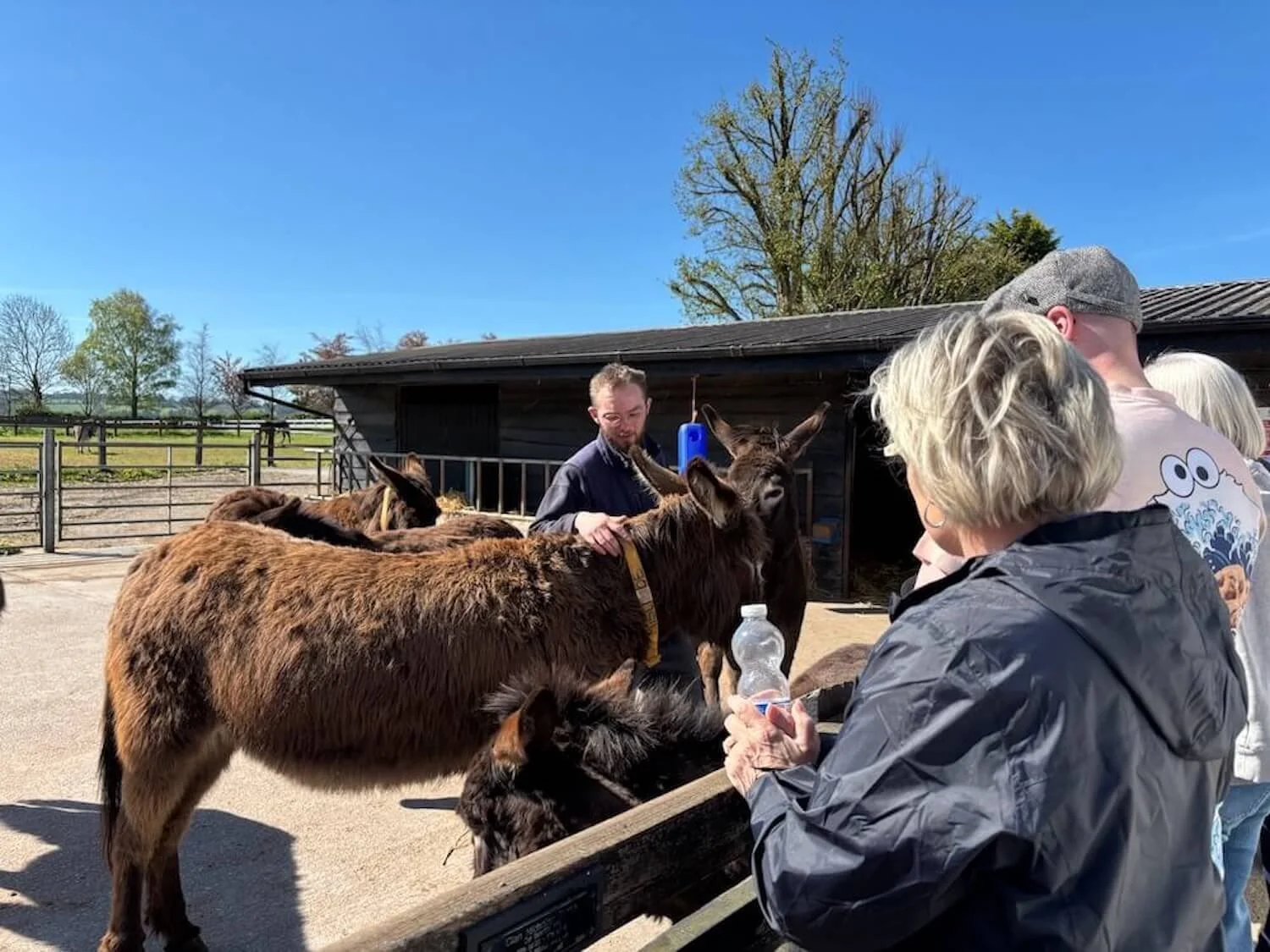 member of our tour group learning about the donkeys from Sean Sheehan at the donkey sanctuary in Liscarroll, Ireland