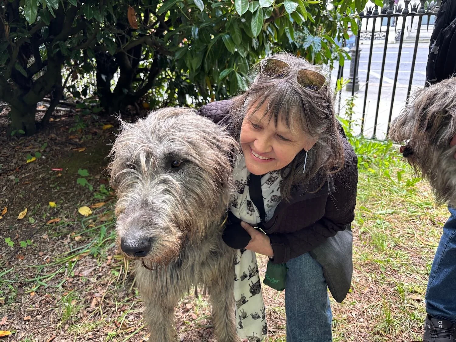 Erin hugging an Irish Wolfhound, St. Stephen's Green, Dublin