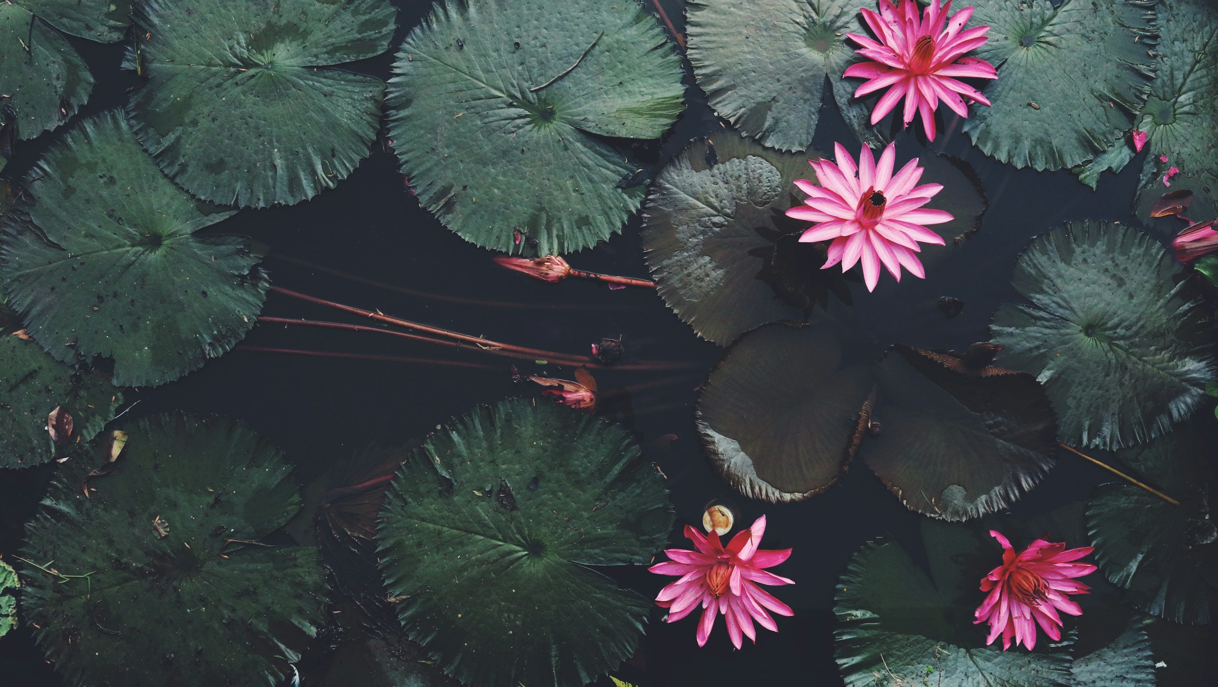 unsplash-image-2wxtbASeX2M.jpg