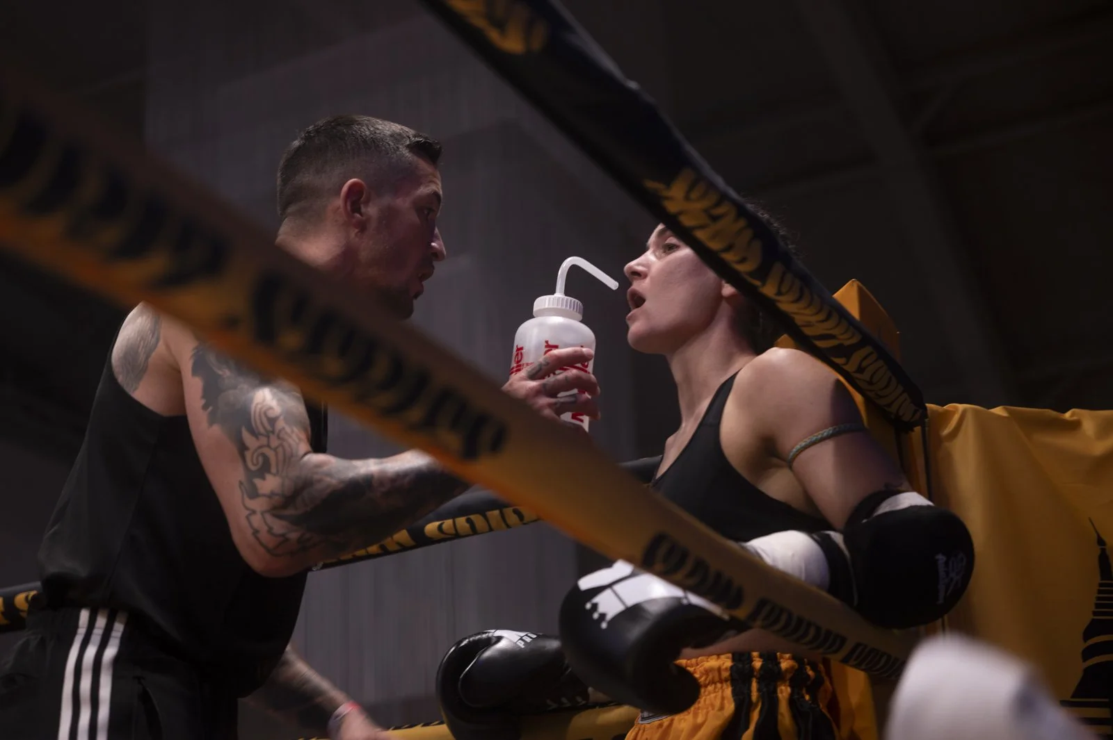 Siam_Spirit_Series_X_Combat.Frames_014.jpg