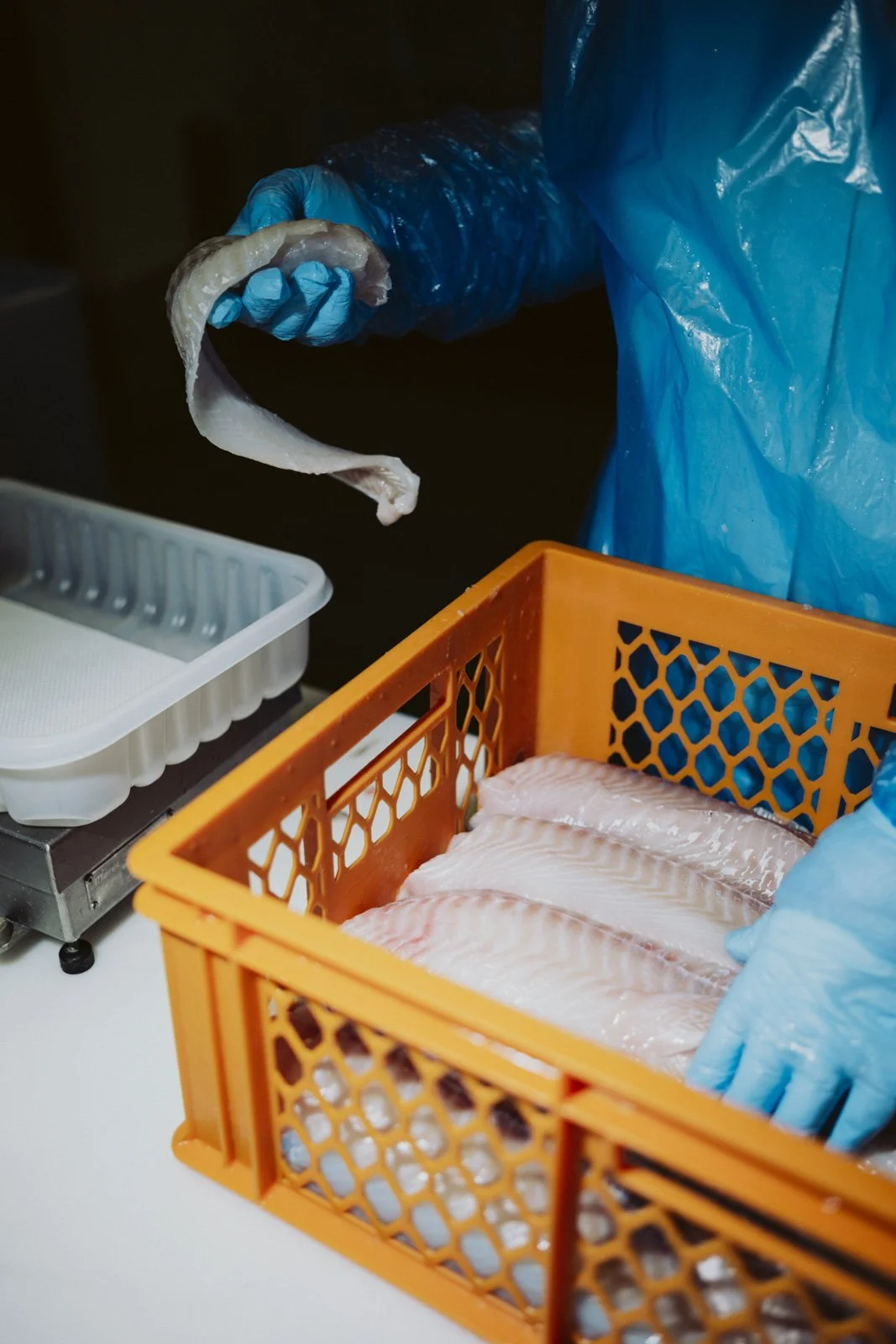 Metro Logistics for Wiwo