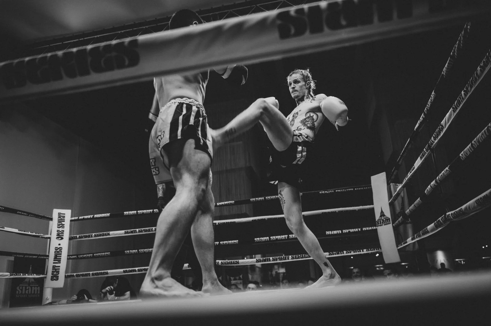 Siam_Spirit_Series_X_Combat.Frames_013.jpg