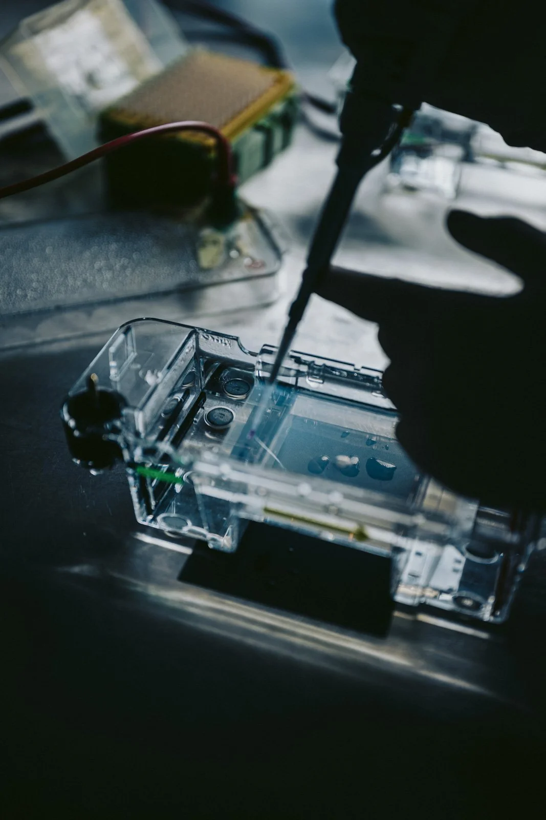 Brain Biotech for Capital