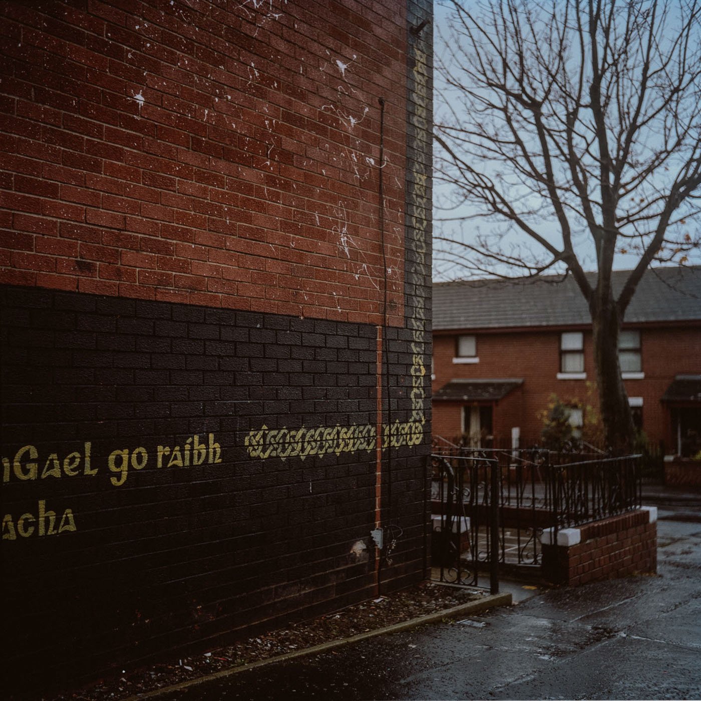 Belfast_Fotograf_Nico_Kurth_35.jpg
