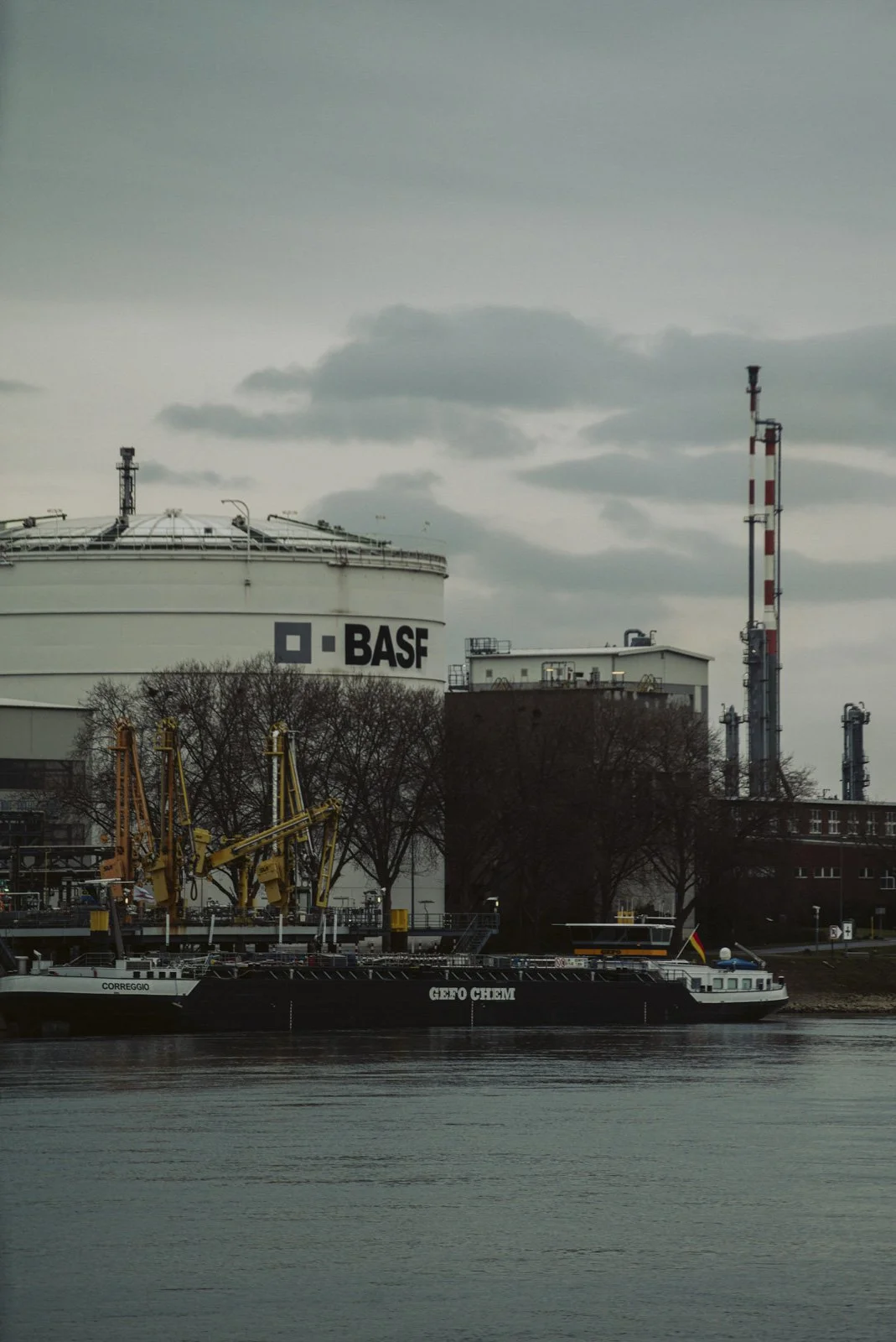 BASF_11.jpg