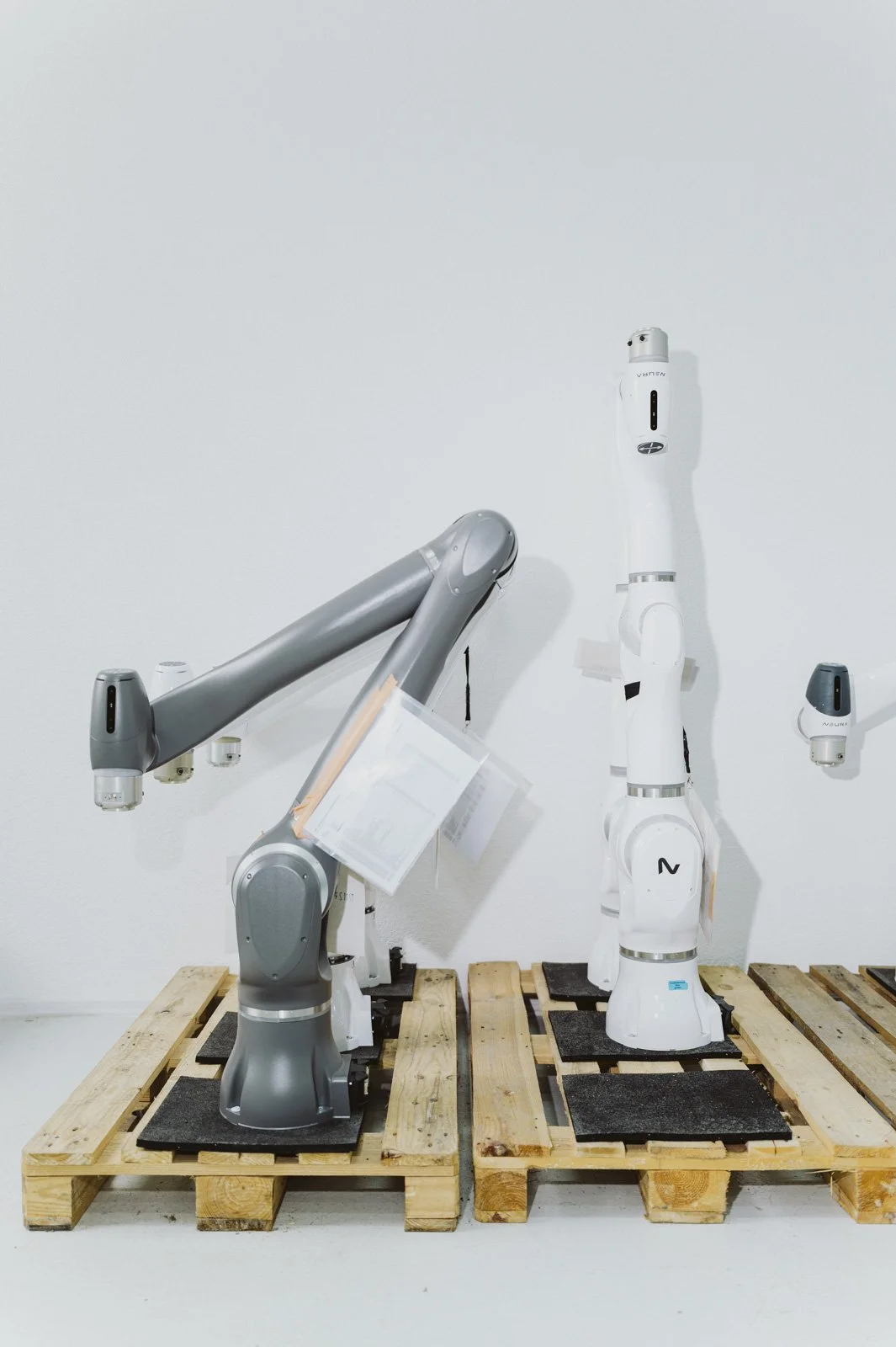 Neura Robotics CEO David Reger for FOCUS