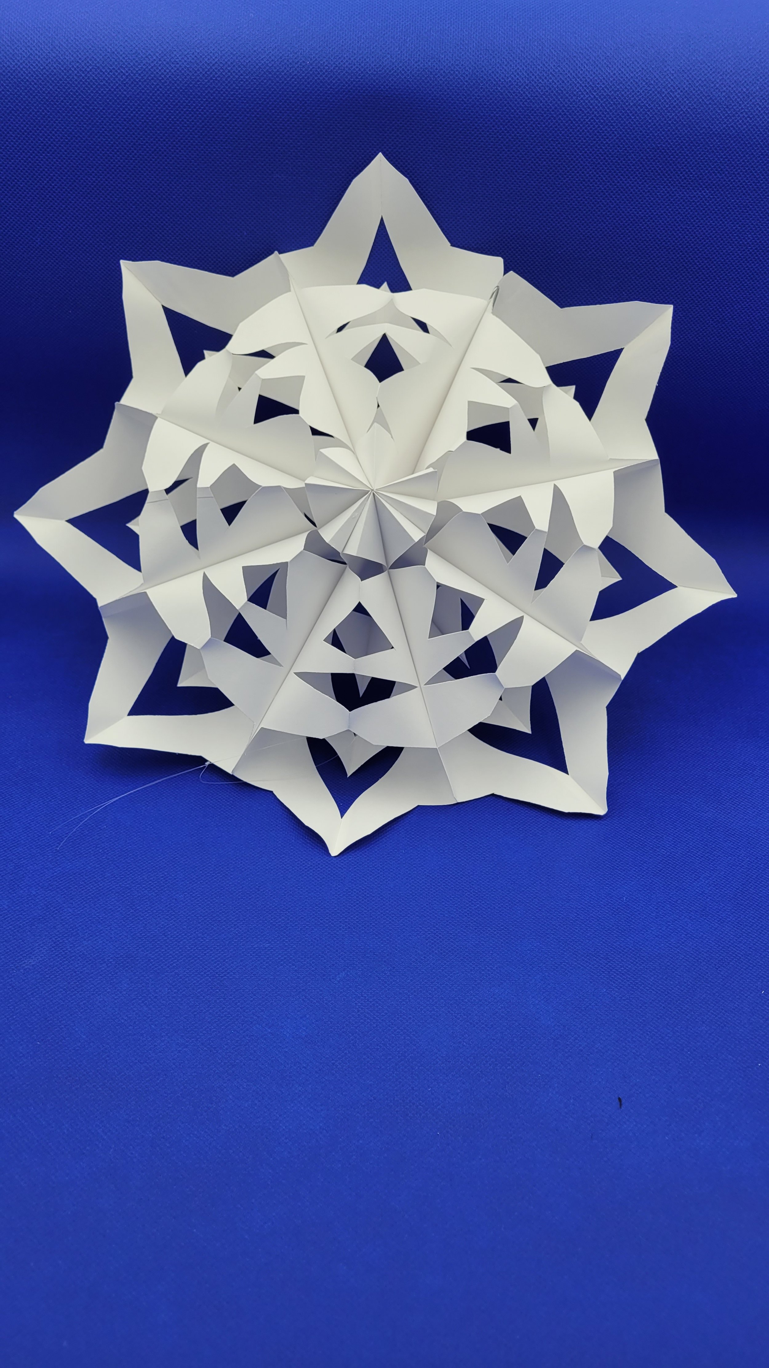 3D Snowflake Window Decoration
