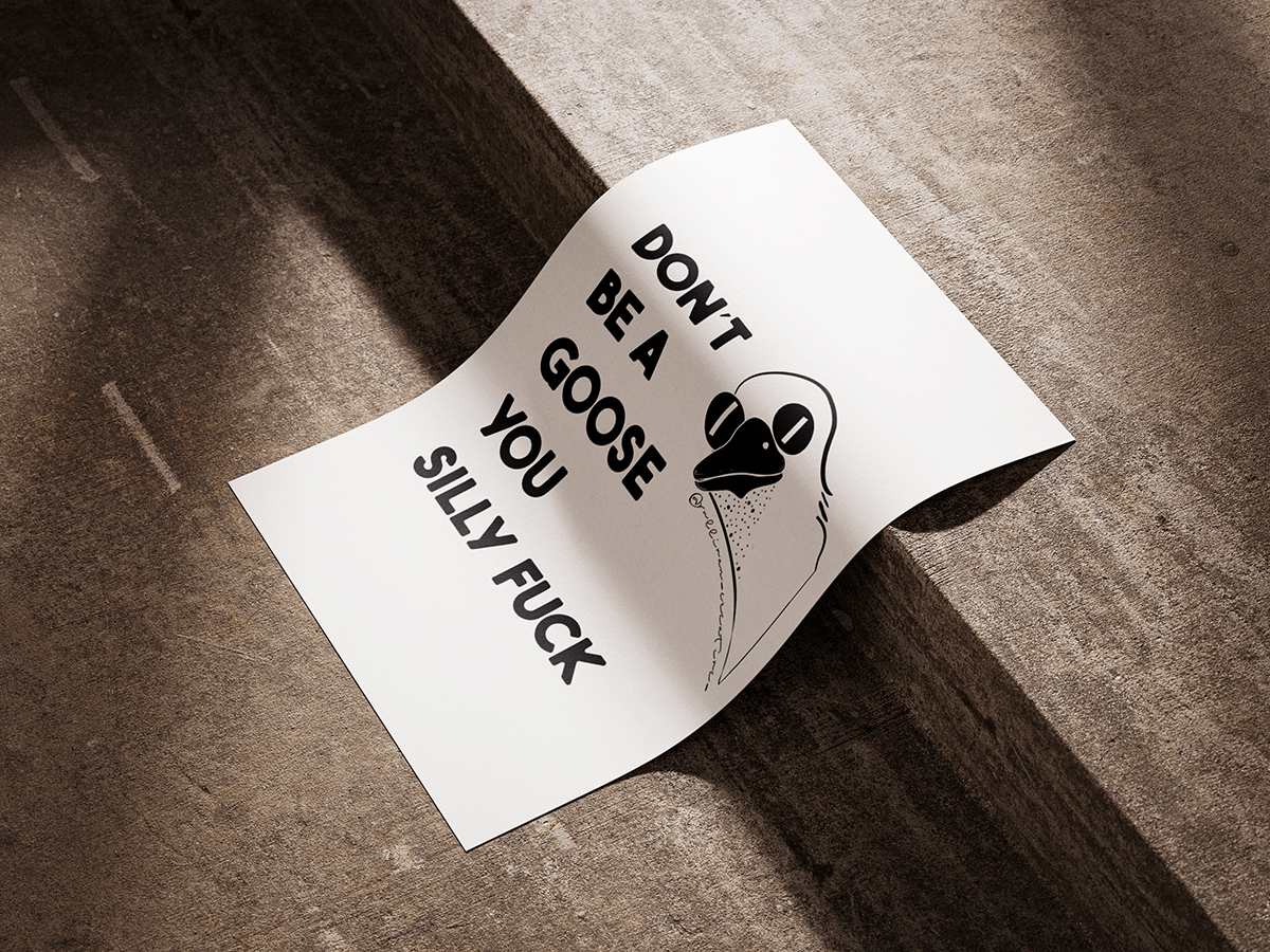 Black and white goose illustration print with bold text reading ‘Don’t be a goose you silly fuck’ – modern funny profanity wall art.