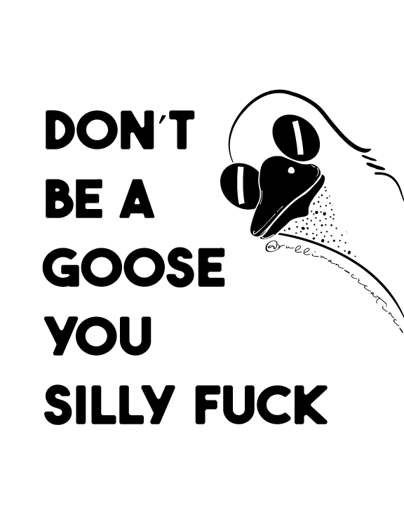 Black and white goose illustration print with bold text reading ‘Don’t be a goose you silly fuck’ – modern funny profanity wall art.