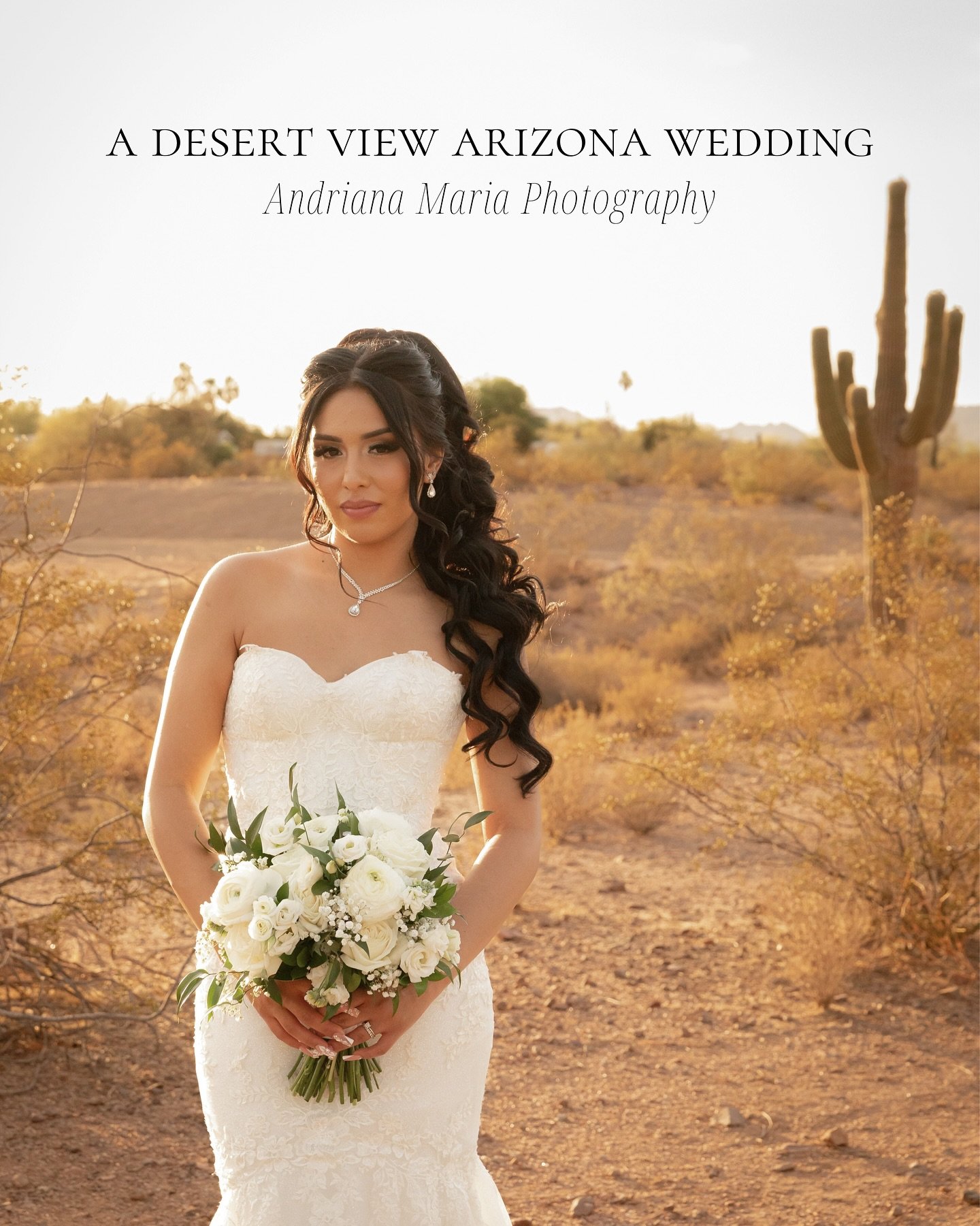 A Desert View Arizona Wedding &mdash; Leslie &amp; Danny&rsquo;s day was a DREAM to photograph!📸 So timeless, so full of love. Desert View was gorgeous with sweeping desert views, a lush green courtyard perfect for portraits and cocktail hour, a stu