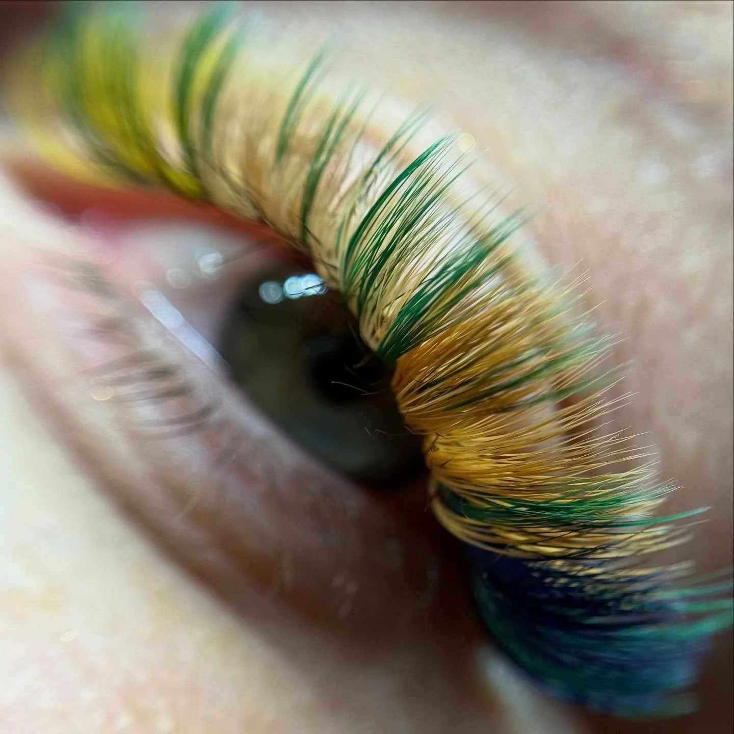 𝕬𝖛𝖆𝖙𝖆𝖗: 𝕿𝖍𝖊 𝕷𝖆𝖘𝖙 𝕬𝖎𝖗𝖇𝖊𝖓𝖉𝖊𝖗 𝕴𝖓𝖘𝖕𝖎𝖗𝖊𝖉 𝕮𝖗𝖊𝖆𝖙𝖎𝖛𝖊 𝕷𝖆𝖘𝖍 𝕾𝖊𝖙 🌊🍃🔥💨

Should I post the reel for this set?

&bull;

#coloredlashes #coloredlashextensions #washingtonlashes #seattlelashes #texturedlashes #wetsetl