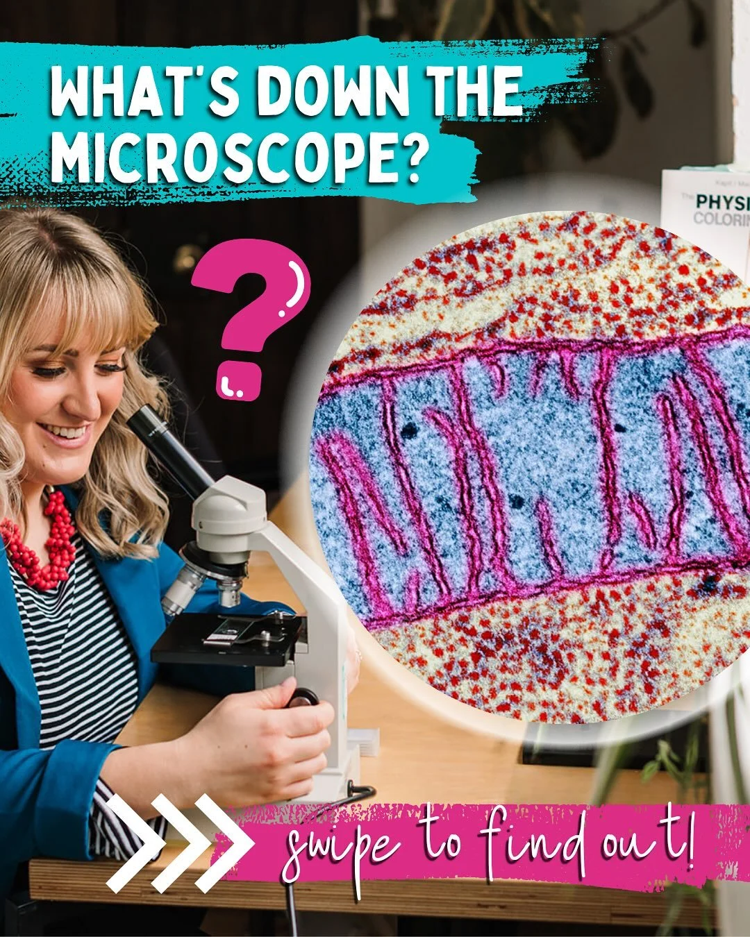 I&rsquo;ve been looking down my electron microscope again&hellip;But who&rsquo;s that showgirl of an organelle I&rsquo;m looking at?! 🔬 

Swipe to find out! 👉

Both A-Level &amp; GCSE Biologists should recognise this sub-cellular structure. Y13s, m